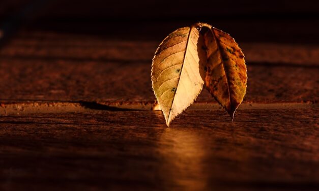 Outwit The Numbing Trance