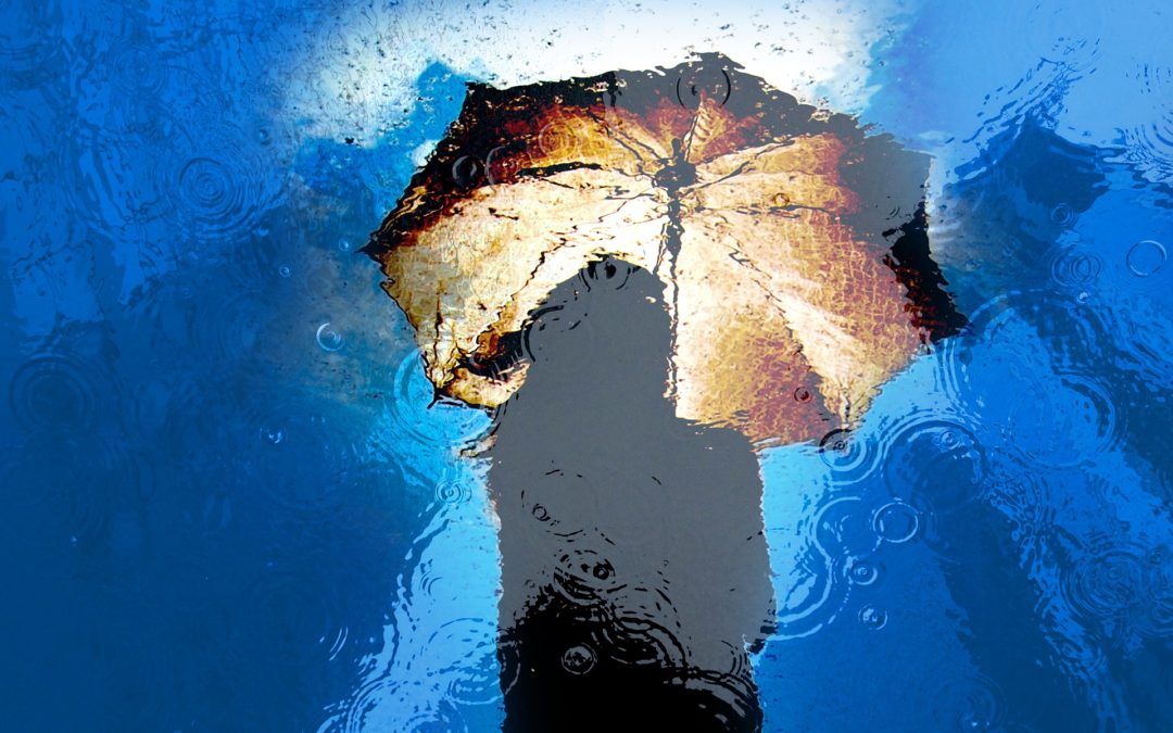 Poetry As Grief’s Companion