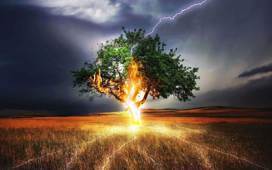 Vision, Hope And Courage In A Time Of Crisis