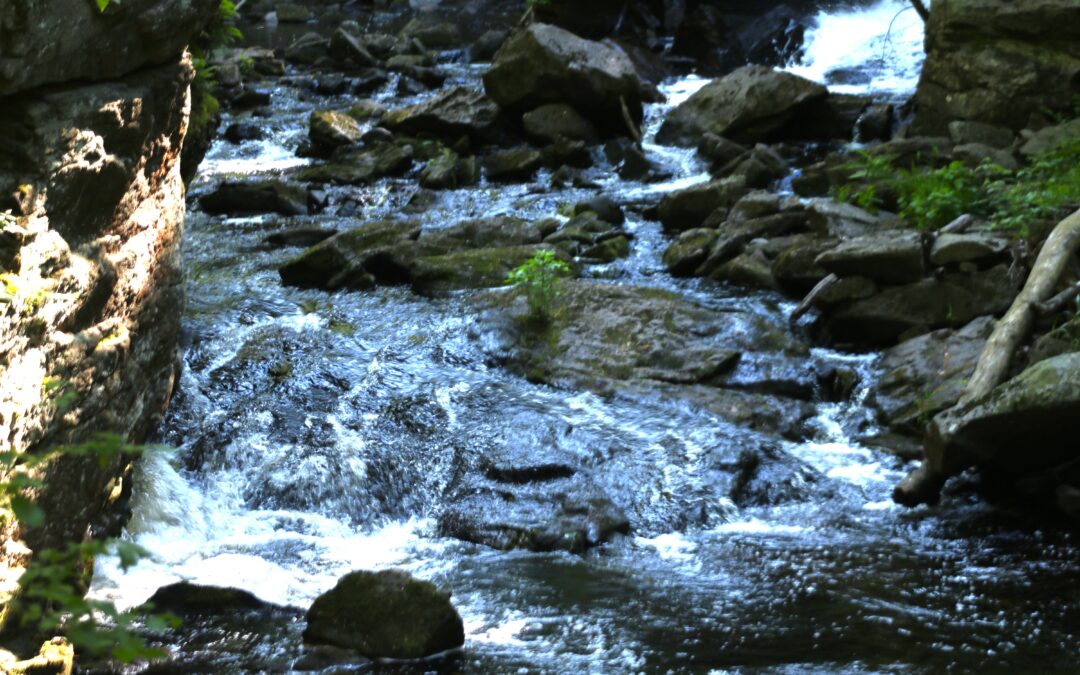 THE RIVER IS PLAYING A SYMPHONY