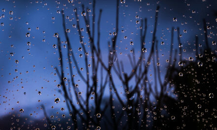 Rain On A Winter Night