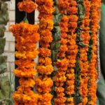 Marigolds of Memory