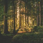 How Might Our World Be Different