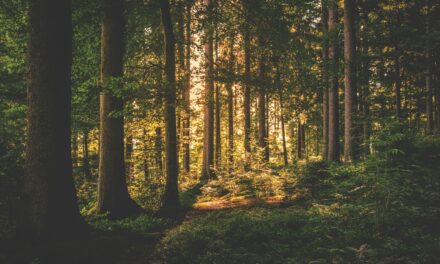 How Might Our World Be Different