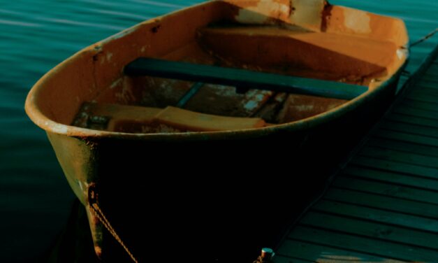 Dock Bugs
