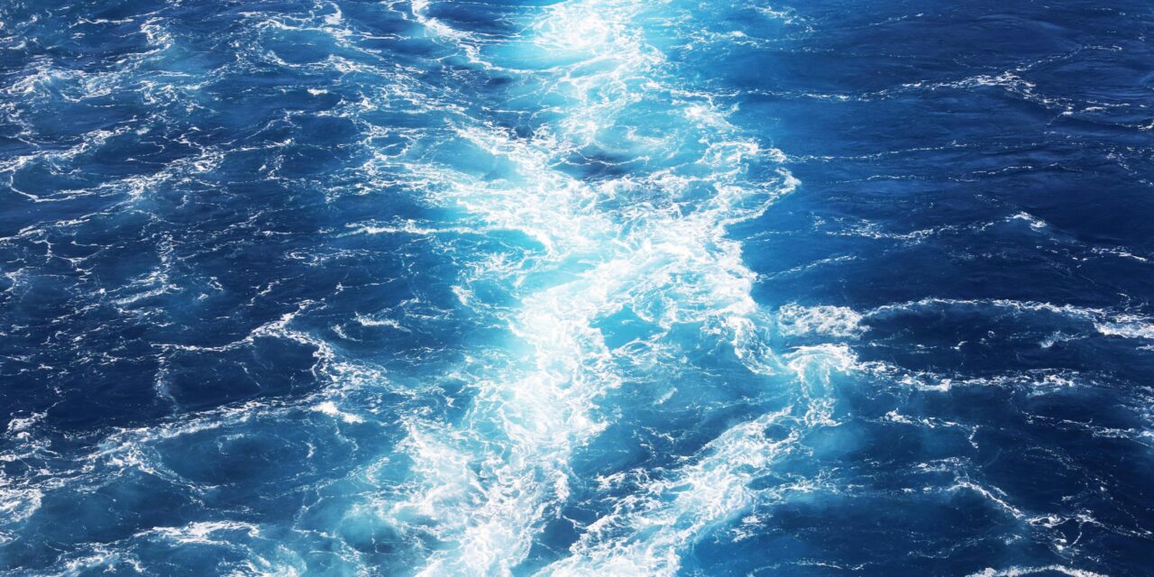 Practicing with Life