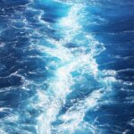 Practicing with Life