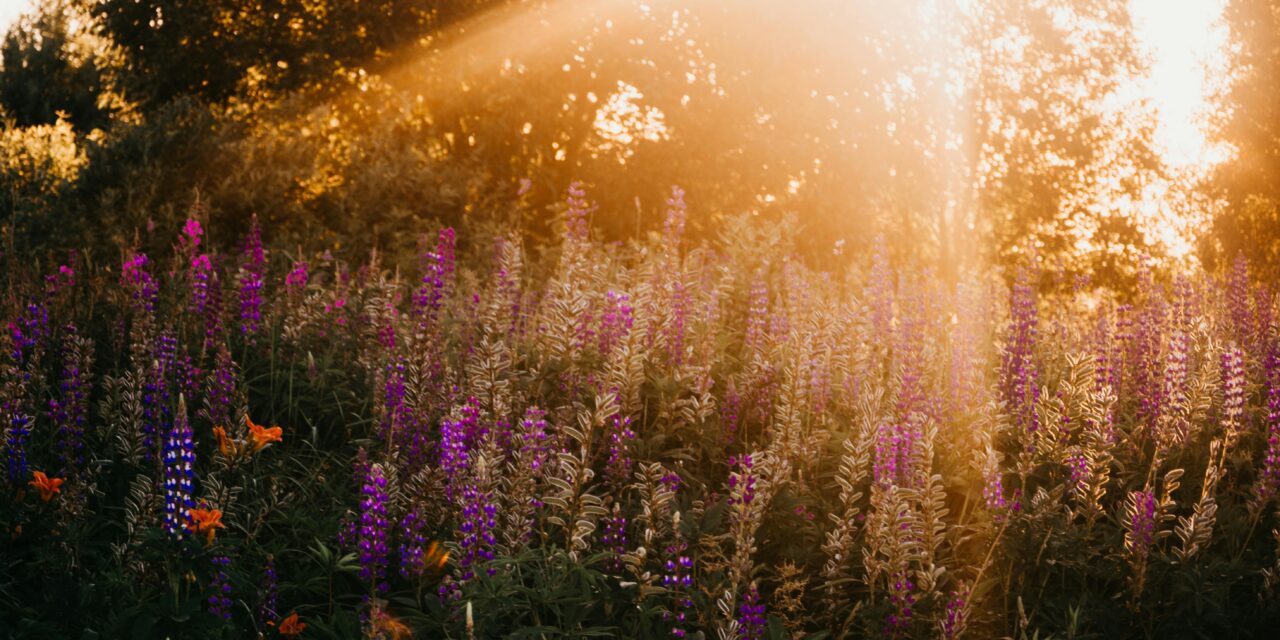 A Slice of Actual Light