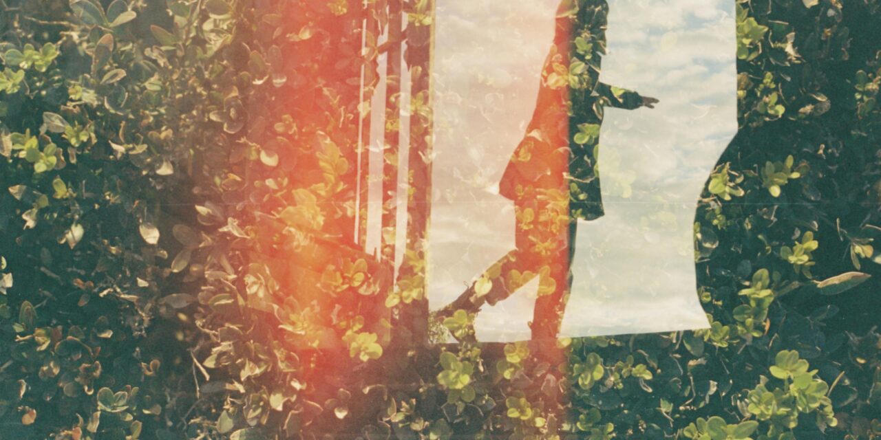 The Poem I’d Give You