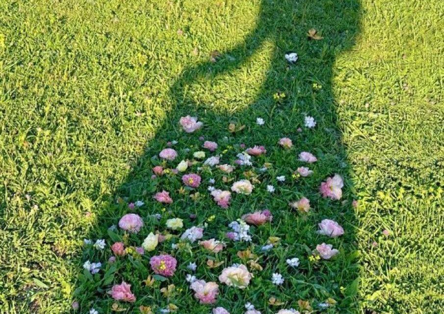 Self-Portrait as Tuning Fork