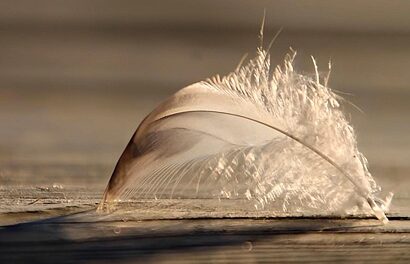 Visits From Beyond & The Humility Of Wonder