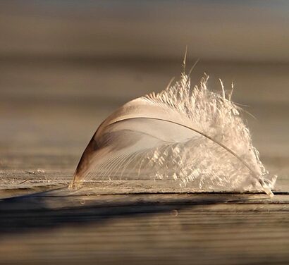 Visits From Beyond & The Humility Of Wonder