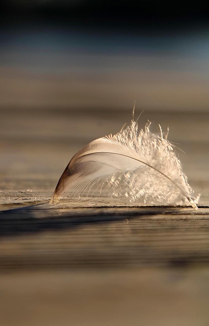 Visits From Beyond & The Humility Of Wonder