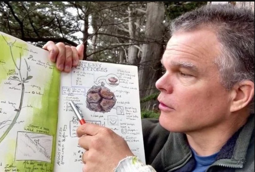 Drawing as Devotion: The Art of Seeing with John Muir Laws