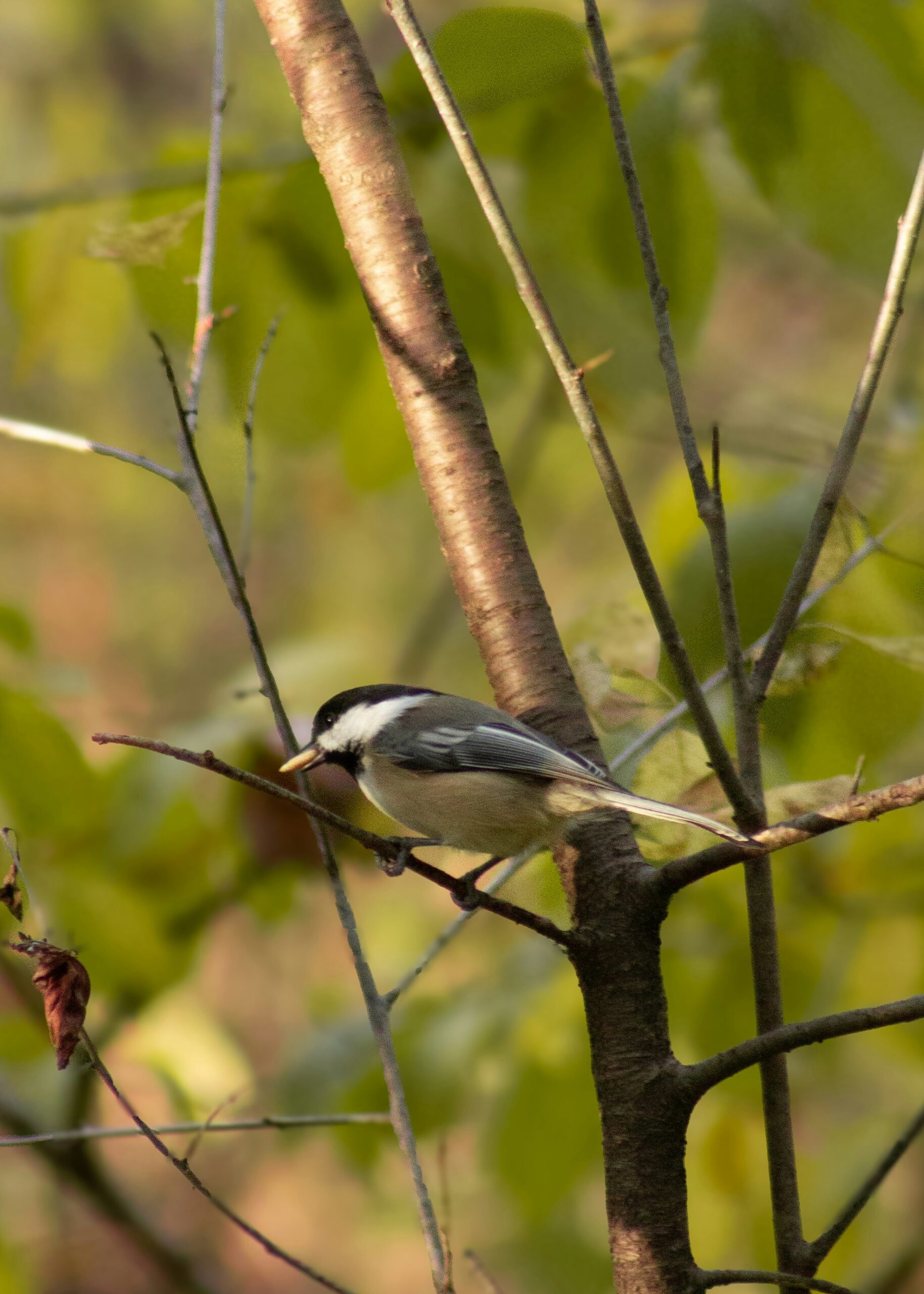 Becoming Whole Again & River Towpath Gospel