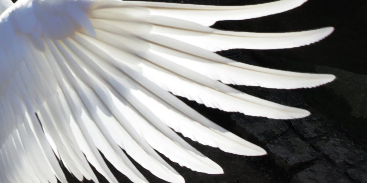 As I Keep These Long Hours Alone