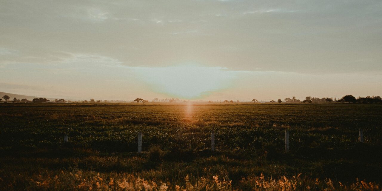 Grandparents, When I Buried You
