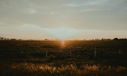 Grandparents, When I Buried You