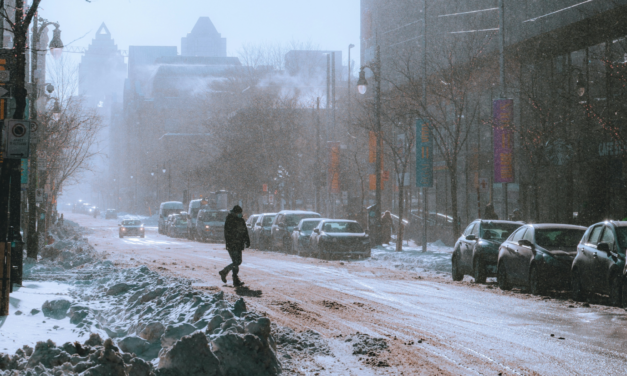 The Geography of Silence: A Saffron Crucible