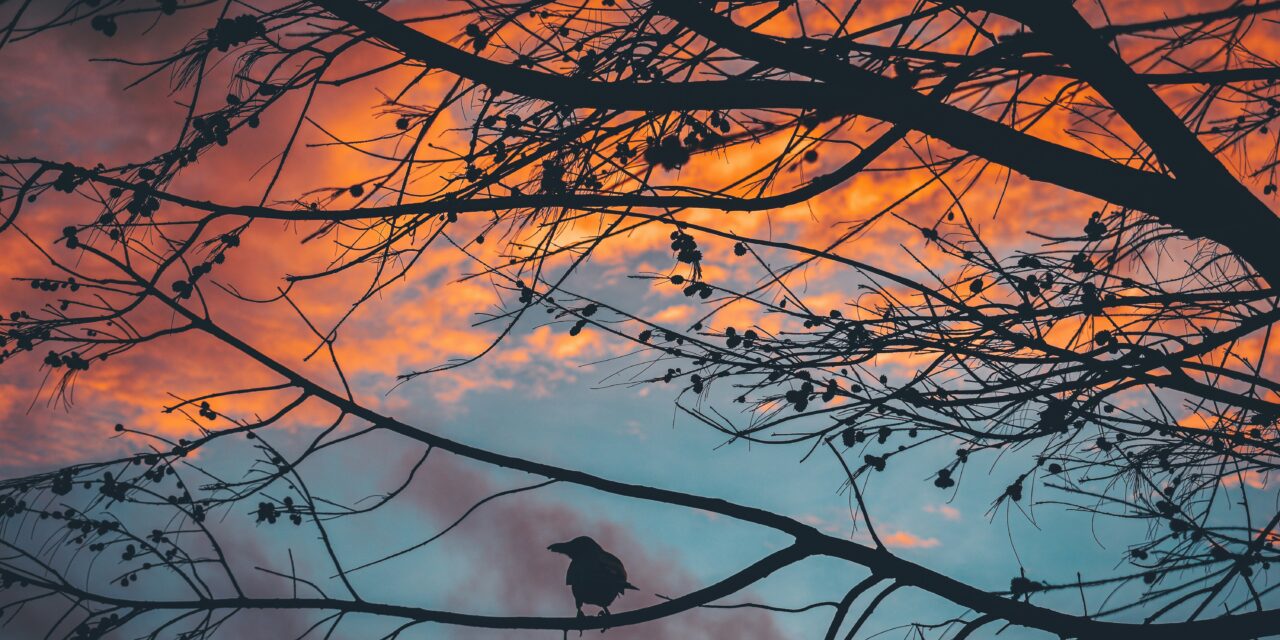 two poems: Jenna Wysong Filbrun