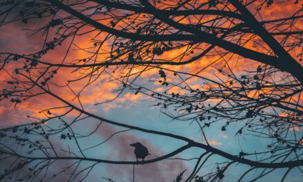 two poems: Jenna Wysong Filbrun