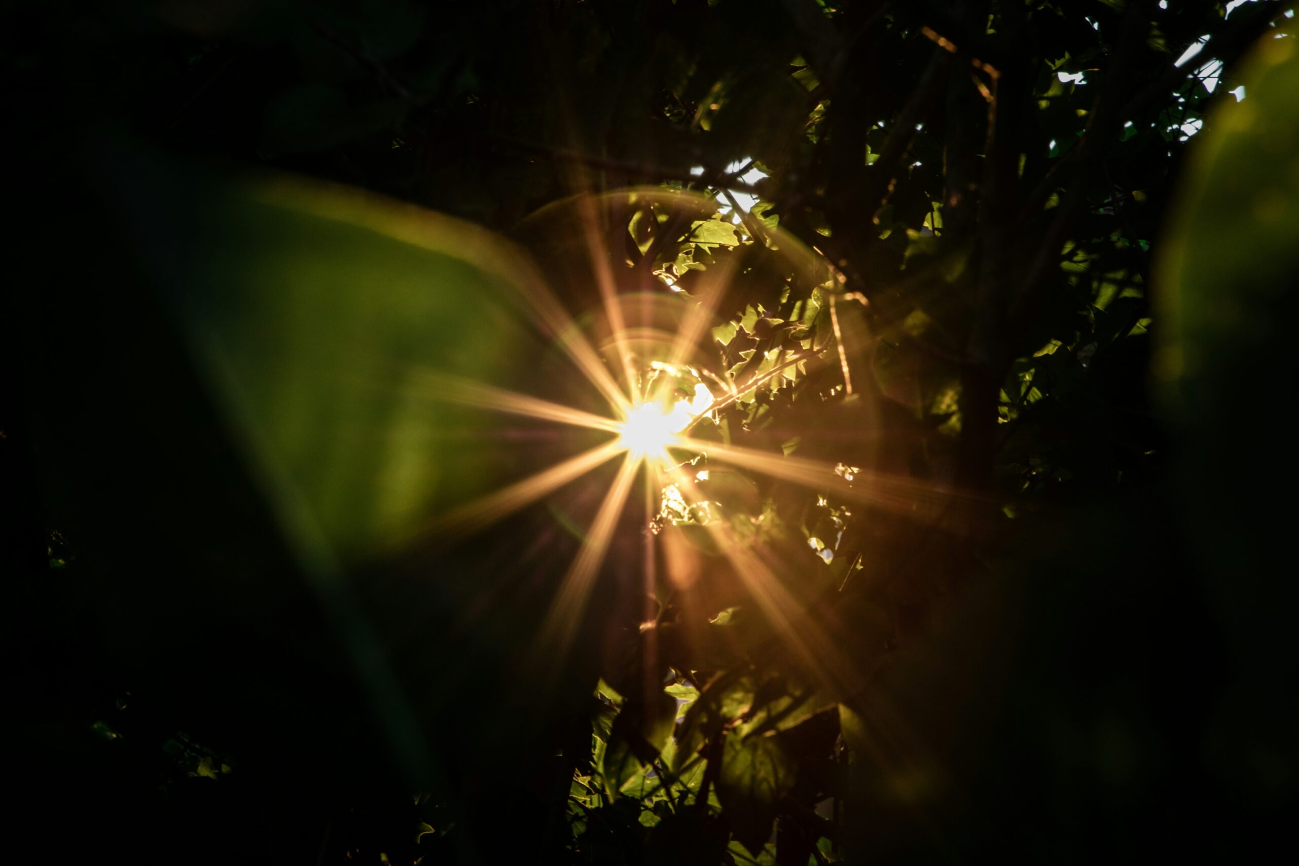 An agnostic mulls over the presence of God in her life