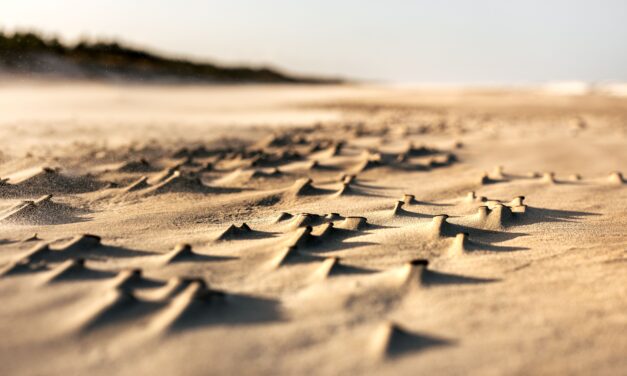 Grief, Like Love, Never Dies