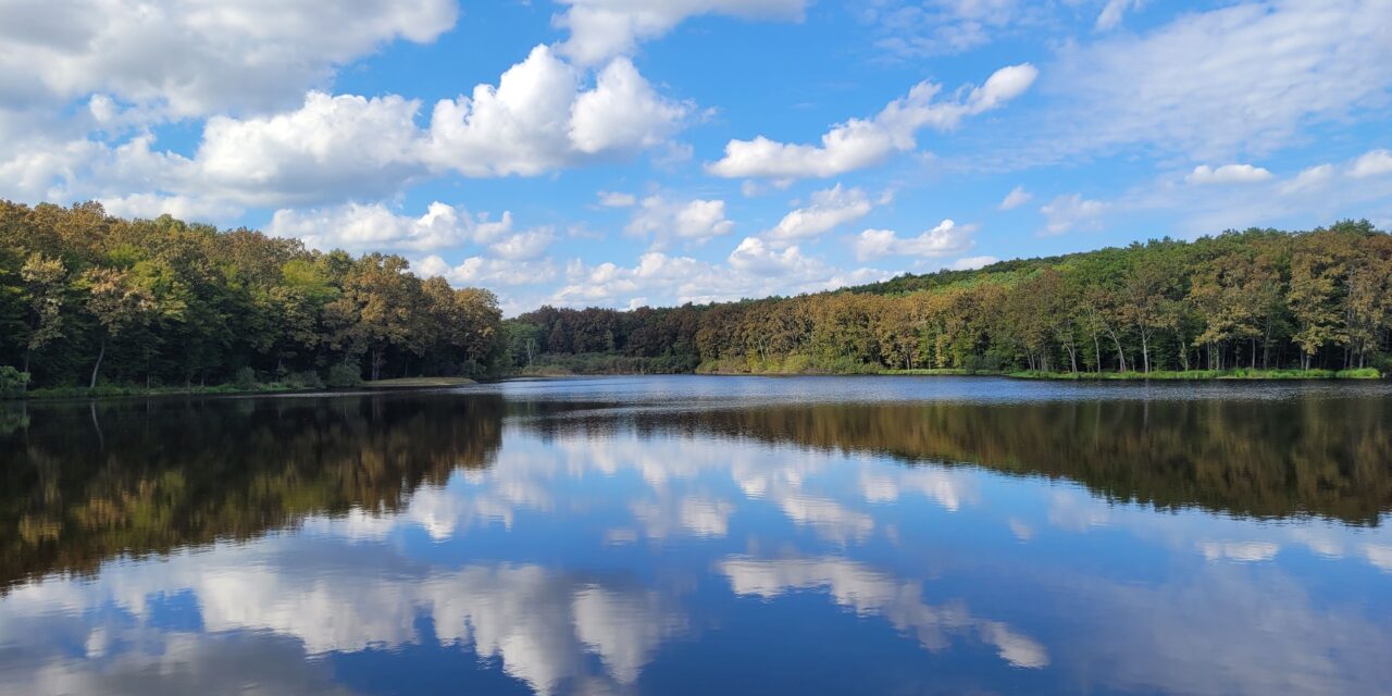 What Did You Go Out to the Wilderness to See?