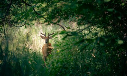 When You Don’t Know What to Do